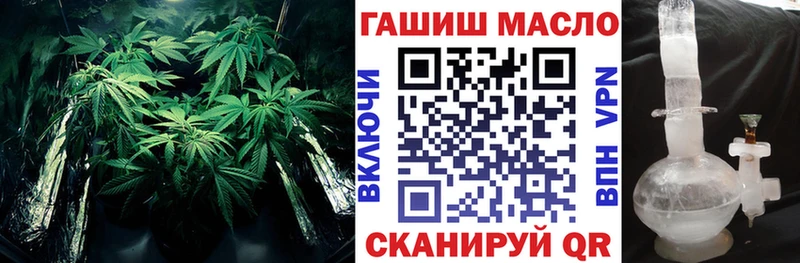 Купить закладки  Эртиль  Дистиллят ТГК гашишное масло 