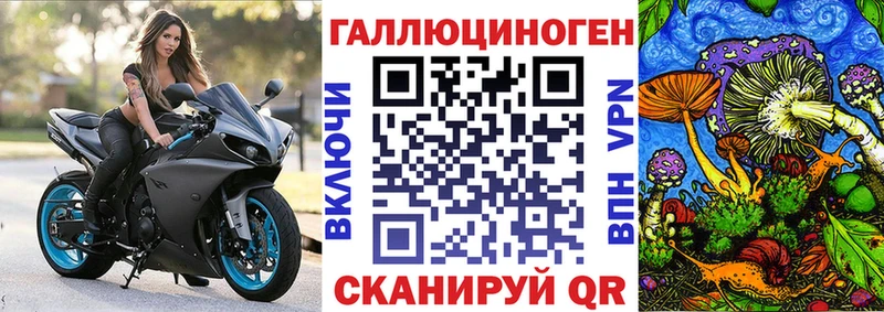 Купить где  Эртиль  Псилоцибиновые грибы прущие грибы 